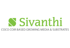 Sivanthi